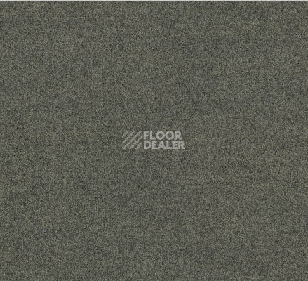 Ковровая плитка Interface Polichrome Solid 4266008 Mole фото 1 | FLOORDEALER